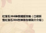 红宝石386神兽捕捉攻略（口袋妖怪红宝石386各神兽在哪简介介绍）