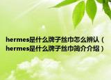 hermes是什么牌子丝巾怎么辨认（hermes是什么牌子丝巾简介介绍）