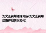 刘文正费翔结婚介绍(刘文正费翔结婚详细情况如何)