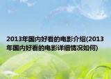 2013年国内好看的电影介绍(2013年国内好看的电影详细情况如何)