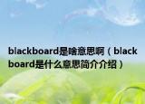 blackboard是啥意思啊（blackboard是什么意思简介介绍）
