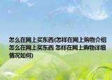 怎么在网上买东西(怎样在网上购物介绍 怎么在网上买东西 怎样在网上购物详细情况如何)