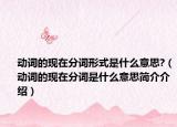 动词的现在分词形式是什么意思?（动词的现在分词是什么意思简介介绍）