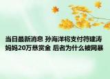 当日最新消息 孙海洋将支付符建涛妈妈20万悬赏金 后者为什么被网暴