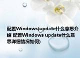配置Windows(update什么意思介绍 配置Windows update什么意思详细情况如何)