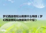 梦幻西游普陀山需要什么特技（梦幻西游普陀山技能简介介绍）