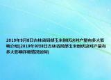 2019年9月8日吉林省局部玉米倒伏这对产量有多大影响介绍(2019年9月8日吉林省局部玉米倒伏这对产量有多大影响详细情况如何)