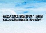桃园各虎卫禁卫技能配备指南介绍(桃园各虎卫禁卫技能配备指南详细情况如何)
