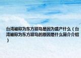 台湾被称为东方甜岛是因为盛产什么（台湾被称为东方甜岛的原因是什么简介介绍）