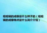 哈哈镜的成像是什么样子的（哈哈镜的成像特点是什么简介介绍）