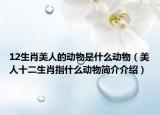 12生肖美人的动物是什么动物（美人十二生肖指什么动物简介介绍）