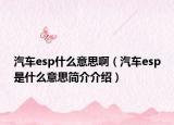 汽车esp什么意思啊（汽车esp是什么意思简介介绍）
