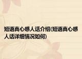 短语真心感人话介绍(短语真心感人话详细情况如何)