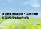 见或不见何晟铭歌词介绍(见或不见何晟铭歌词详细情况如何)