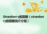 Strawberry的复数（strawberry的复数简介介绍）