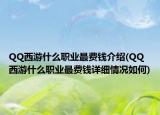 QQ西游什么职业最费钱介绍(QQ西游什么职业最费钱详细情况如何)