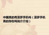 中国真的有菠萝手机吗（菠萝手机真的存在吗简介介绍）