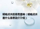 蜻蜓点水的意思是啥（蜻蜓点水是什么意思简介介绍）