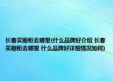 长春买橱柜去哪里(什么品牌好介绍 长春买橱柜去哪里 什么品牌好详细情况如何)