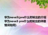 华为nova5(pro什么时候出的介绍 华为nova5 pro什么时候出的详细情况如何)