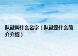 队徽叫什么名字（队徽是什么简介介绍）