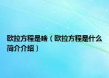 欧拉方程是啥（欧拉方程是什么简介介绍）