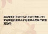 求完整的白夜茶会和月夜茶会图包介绍(求完整的白夜茶会和月夜茶会图包详细情况如何)
