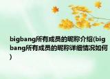bigbang所有成员的昵称介绍(bigbang所有成员的昵称详细情况如何)