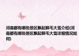 河南都有哪些景区飘起鹅毛大雪介绍(河南都有哪些景区飘起鹅毛大雪详细情况如何)