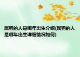 属狗的人是哪年出生介绍(属狗的人是哪年出生详细情况如何)