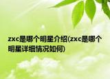 zxc是哪个明星介绍(zxc是哪个明星详细情况如何)