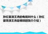 孙红雷演王浩的电视叫什么（孙红雷饰演王浩是哪部剧简介介绍）