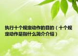 执行十个规定动作的目的（十个规定动作是指什么简介介绍）