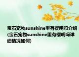 宝石宠物sunshine里有樱明吗介绍(宝石宠物sunshine里有樱明吗详细情况如何)