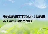 我的微信用不了怎么办（微信用不了怎么办简介介绍）
