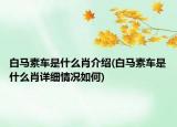 白马素车是什么肖介绍(白马素车是什么肖详细情况如何)
