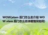 WOW(stsm 后门怎么去介绍 WOW stsm 后门怎么去详细情况如何)
