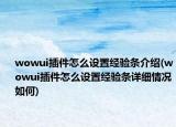 wowui插件怎么设置经验条介绍(wowui插件怎么设置经验条详细情况如何)