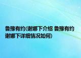 鲁豫有约(谢娜下介绍 鲁豫有约 谢娜下详细情况如何)