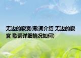 无边的寂寞(歌词介绍 无边的寂寞 歌词详细情况如何)