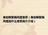 身如柳絮随风摆意思（身如柳絮随风摆是什么意思简介介绍）