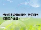 栓的四字词语有哪些（栓的四字词语简介介绍）