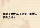 汤婆子是什么?（汤婆子是什么简介介绍）