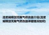 流星蝴蝶剑无限气修改器介绍(流星蝴蝶剑无限气修改器详细情况如何)