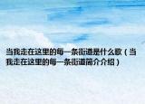当我走在这里的每一条街道是什么歌（当我走在这里的每一条街道简介介绍）