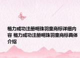 格力成功注册明珠羽童商标详细内容 格力成功注册明珠羽童商标具体介绍