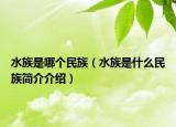 水族是哪个民族（水族是什么民族简介介绍）