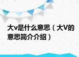 大v是什么意思（大V的意思简介介绍）