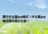 图片什么是jpg格式（什么是jpg格式照片简介介绍）