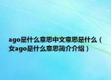 ago是什么意思中文意思是什么（女ago是什么意思简介介绍）